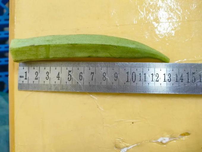 베트남산 냉동 숙녀 손가락 IQF 프리미엄 오크라 채소 통째 및 썰어서 요리용 도매 대량 공급업체 2