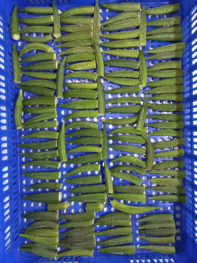 베트남산 냉동 숙녀 손가락 IQF 프리미엄 오크라 채소 통째 및 썰어서 요리용 도매 대량 공급업체 3