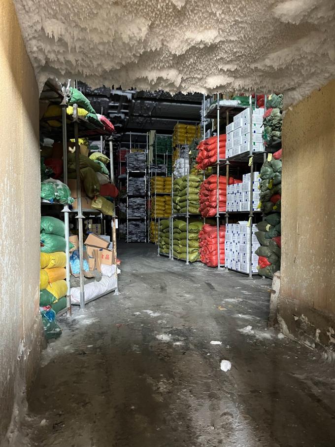 고품질 신선 냉동 라즈베리, 주스, 디저트, 밀크셰이크를 위해 달콤한 맛을 위해 손으로 수확 6