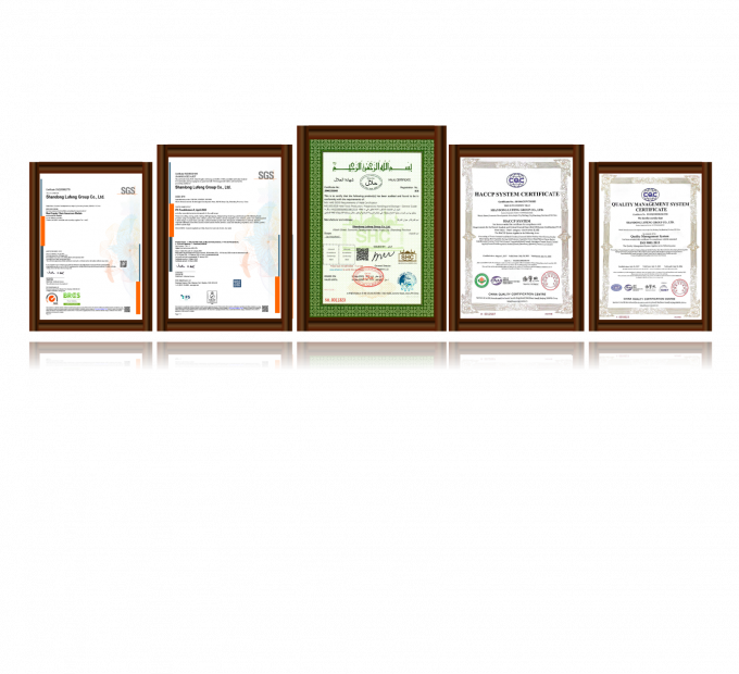 고품질 냉동 뼈 없는 닭 가슴 수출 준비 대량 포장 3