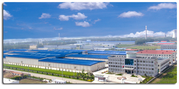 고품질 냉동 뼈 없는 닭 가슴 수출 준비 대량 포장 4