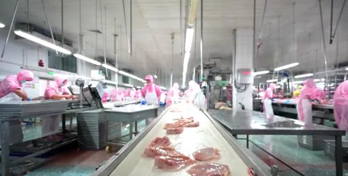 고품질 냉동 뼈 없는 닭 가슴 수출 준비 대량 포장 6