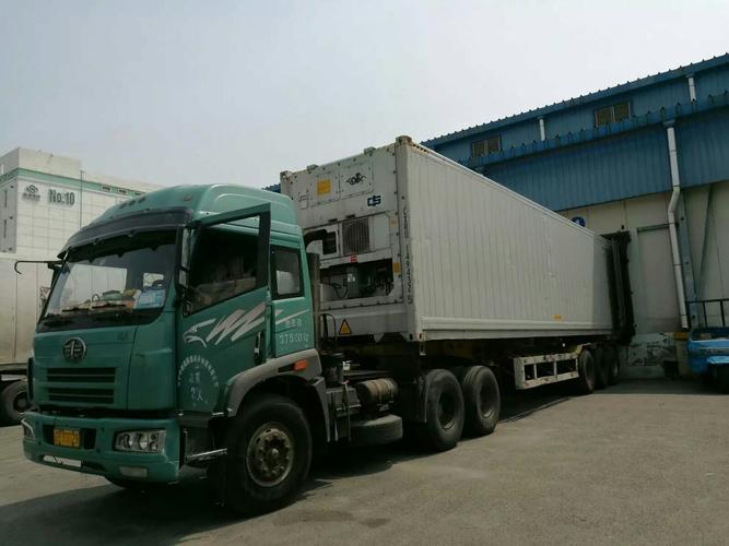 고품질 냉동 뼈 없는 닭 가슴 수출 준비 대량 포장 10