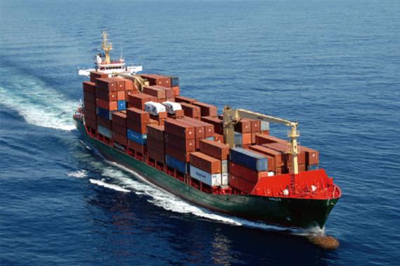 고품질 냉동 뼈 없는 닭 가슴 수출 준비 대량 포장 11